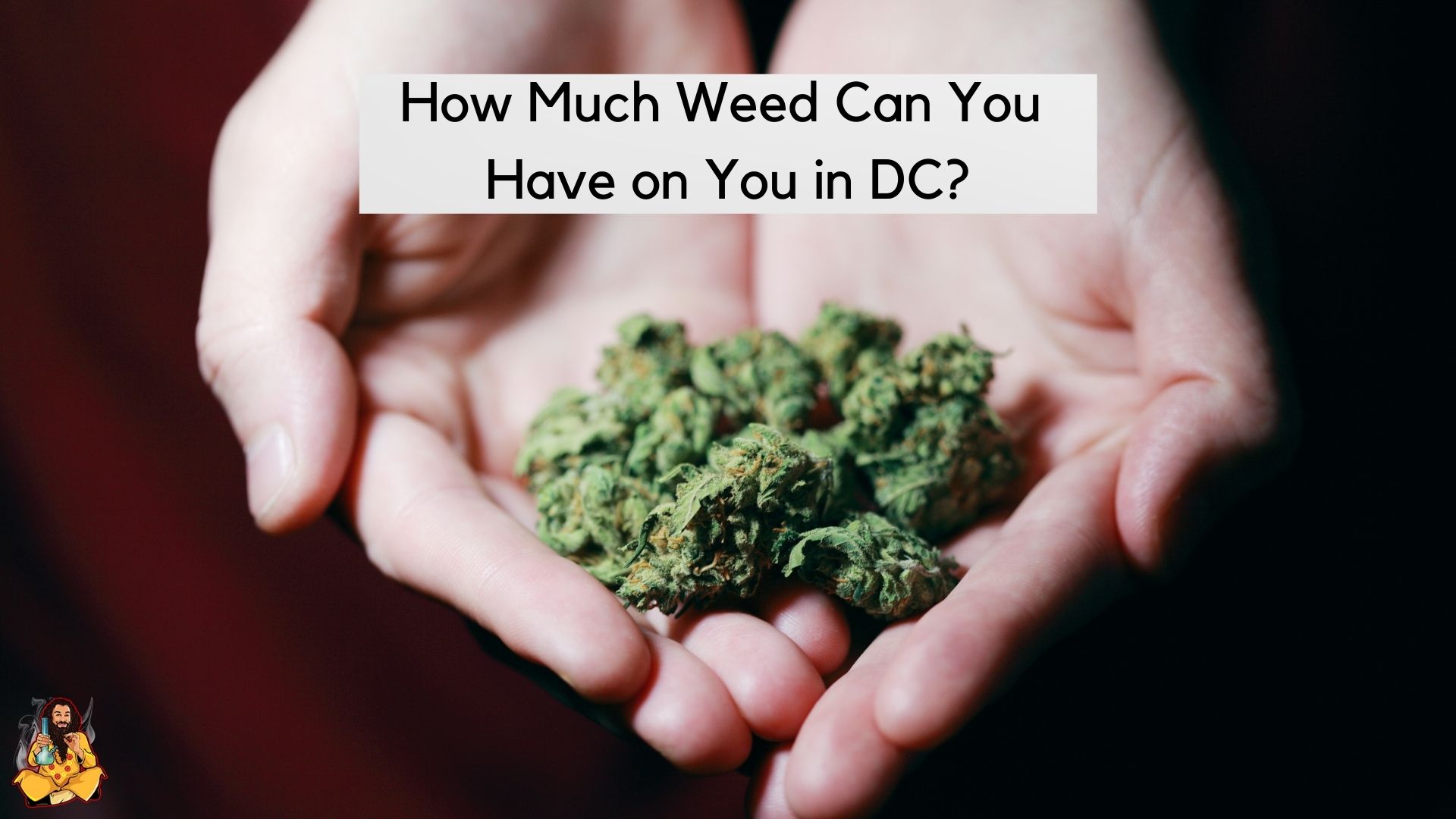 How Much Weed Can You Have in DC?