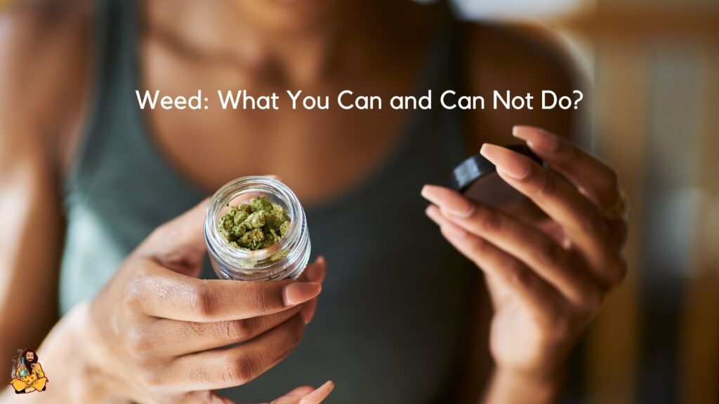 Weed: What You Can and Can Not Do?