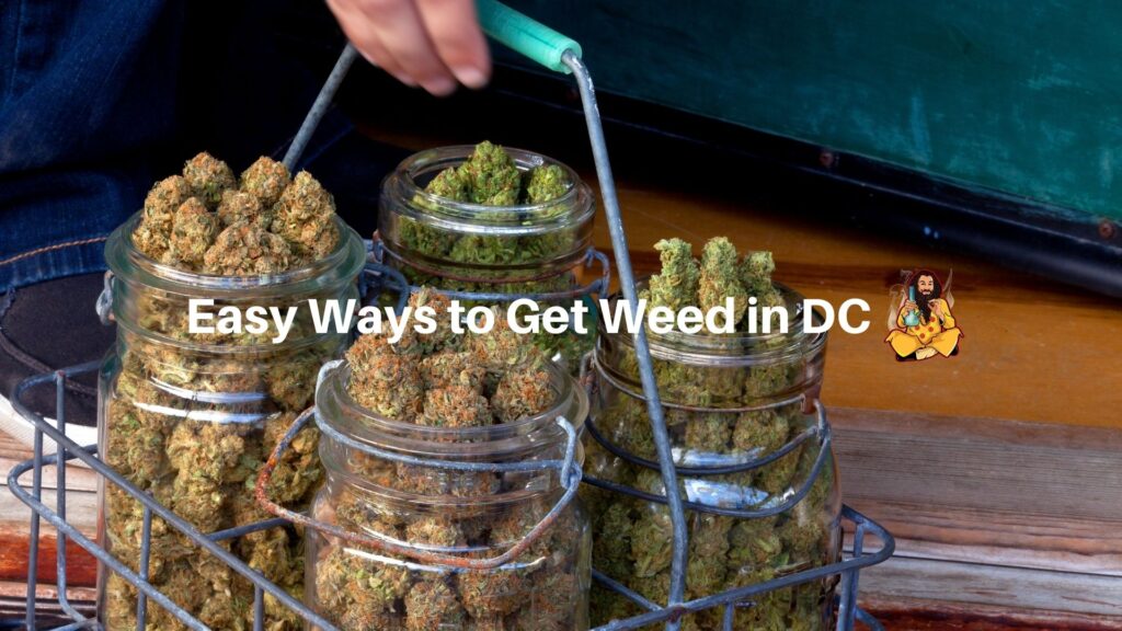 Easy Ways to Get Weed in DC